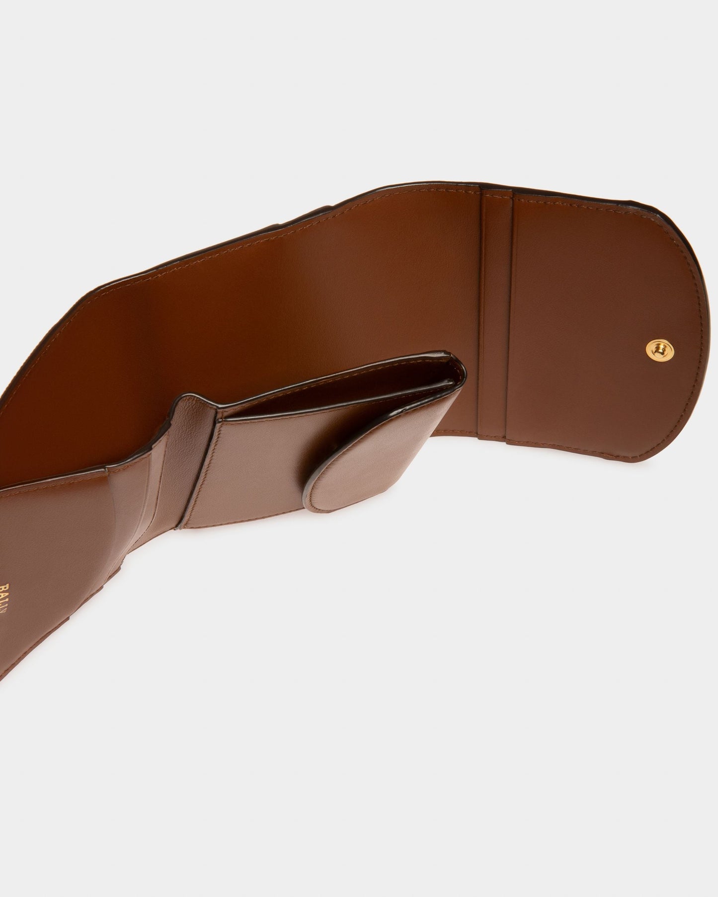Blessy Tpu Wallet In Brown
