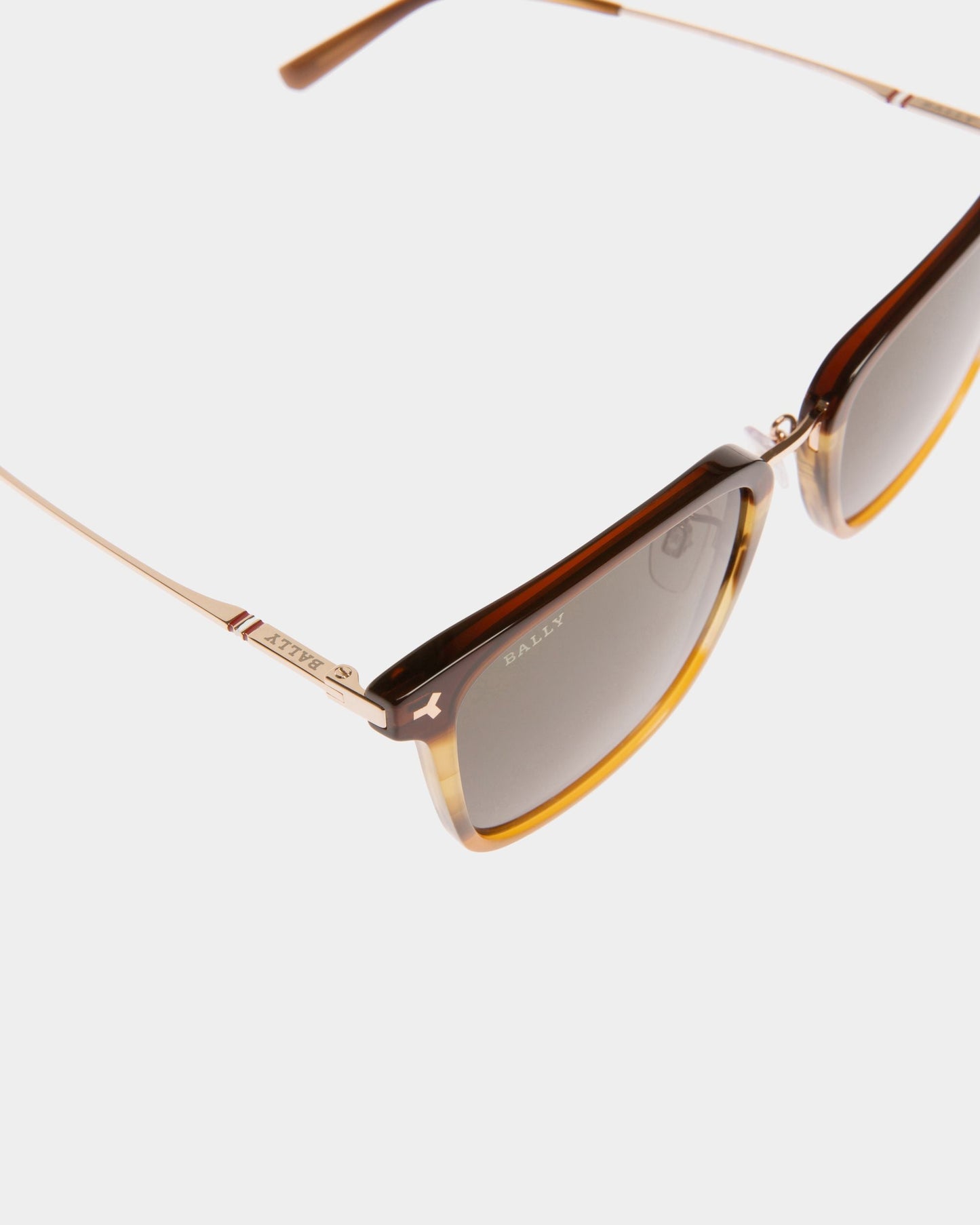 Sunglasses in Brown Plastic and Metal