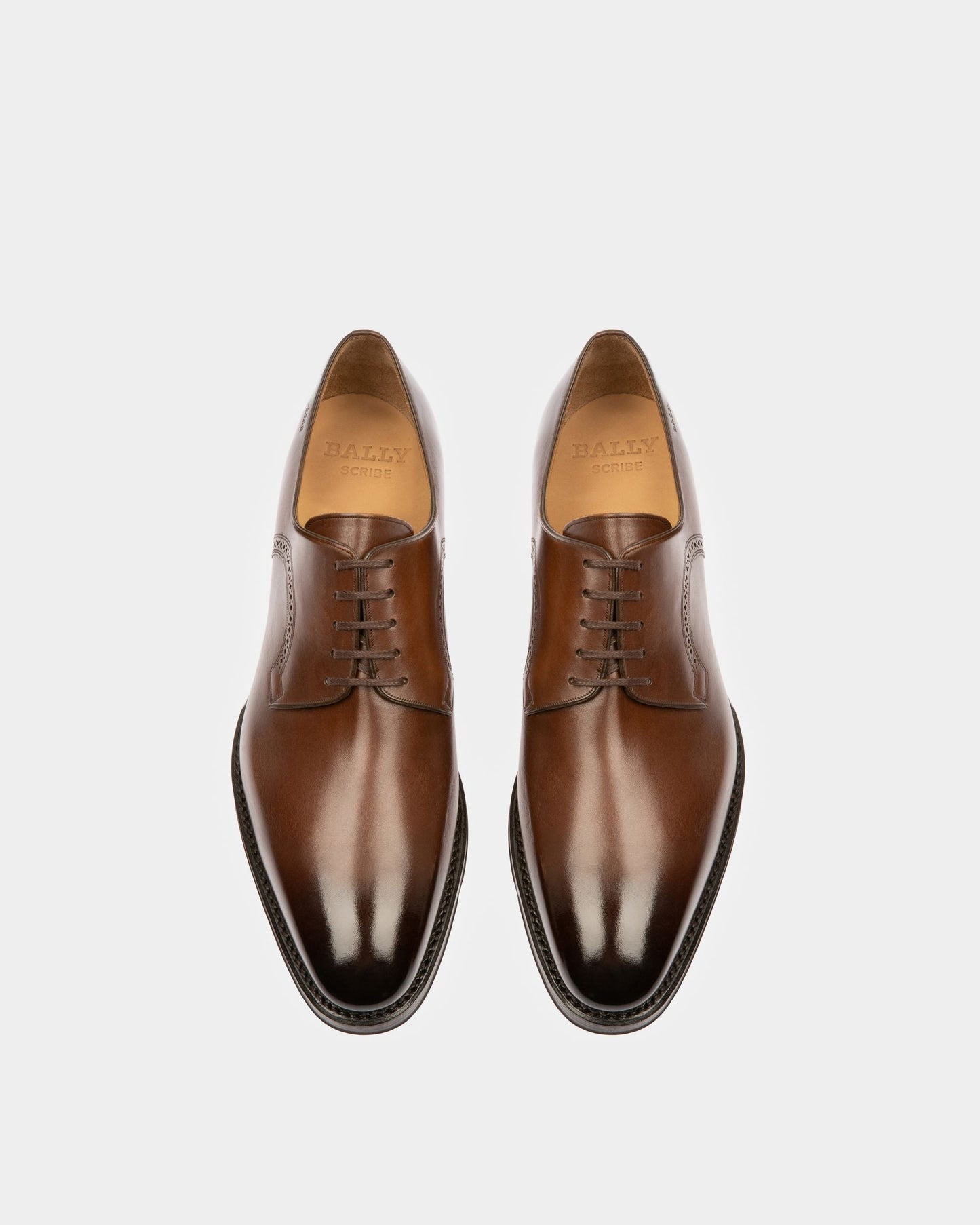 Scamardo Leather Derby Shoes In Brown