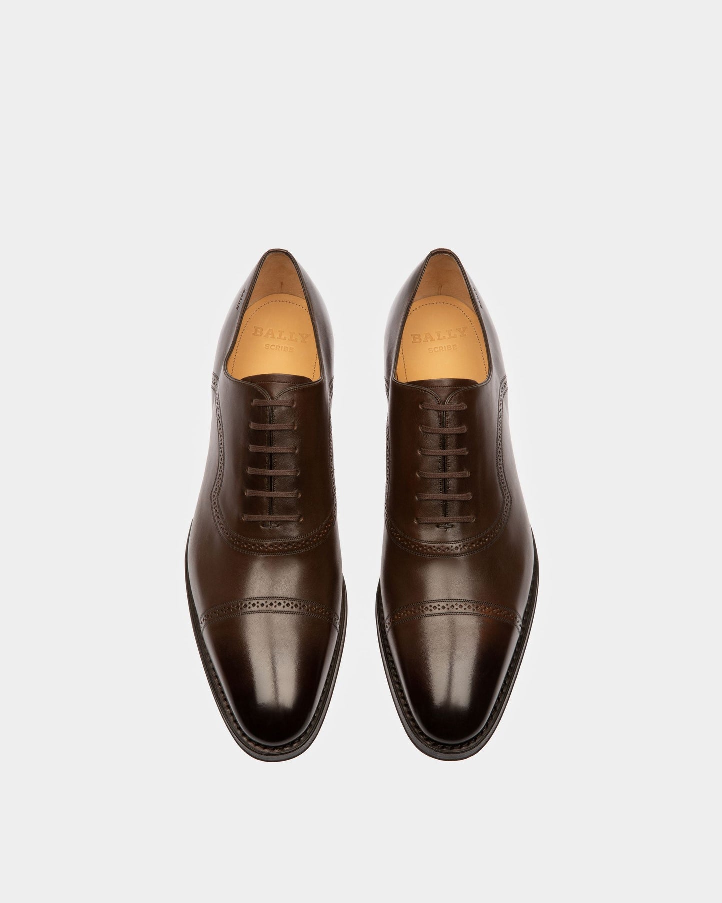 Scanio Leather Oxford Shoes In Brown