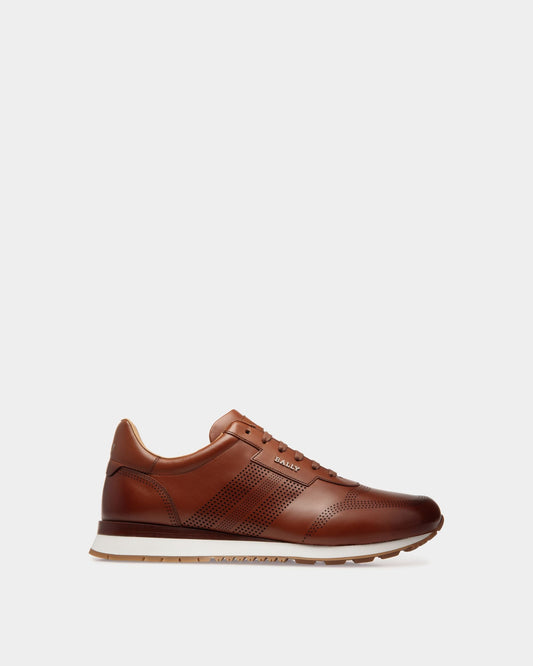 Asken Leather Sneakers In Brown