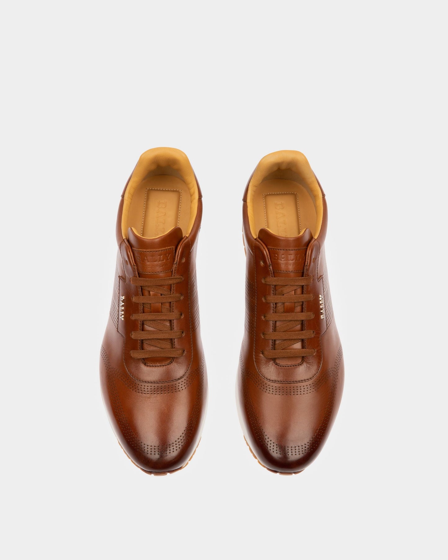 Asken Leather Sneakers In Brown