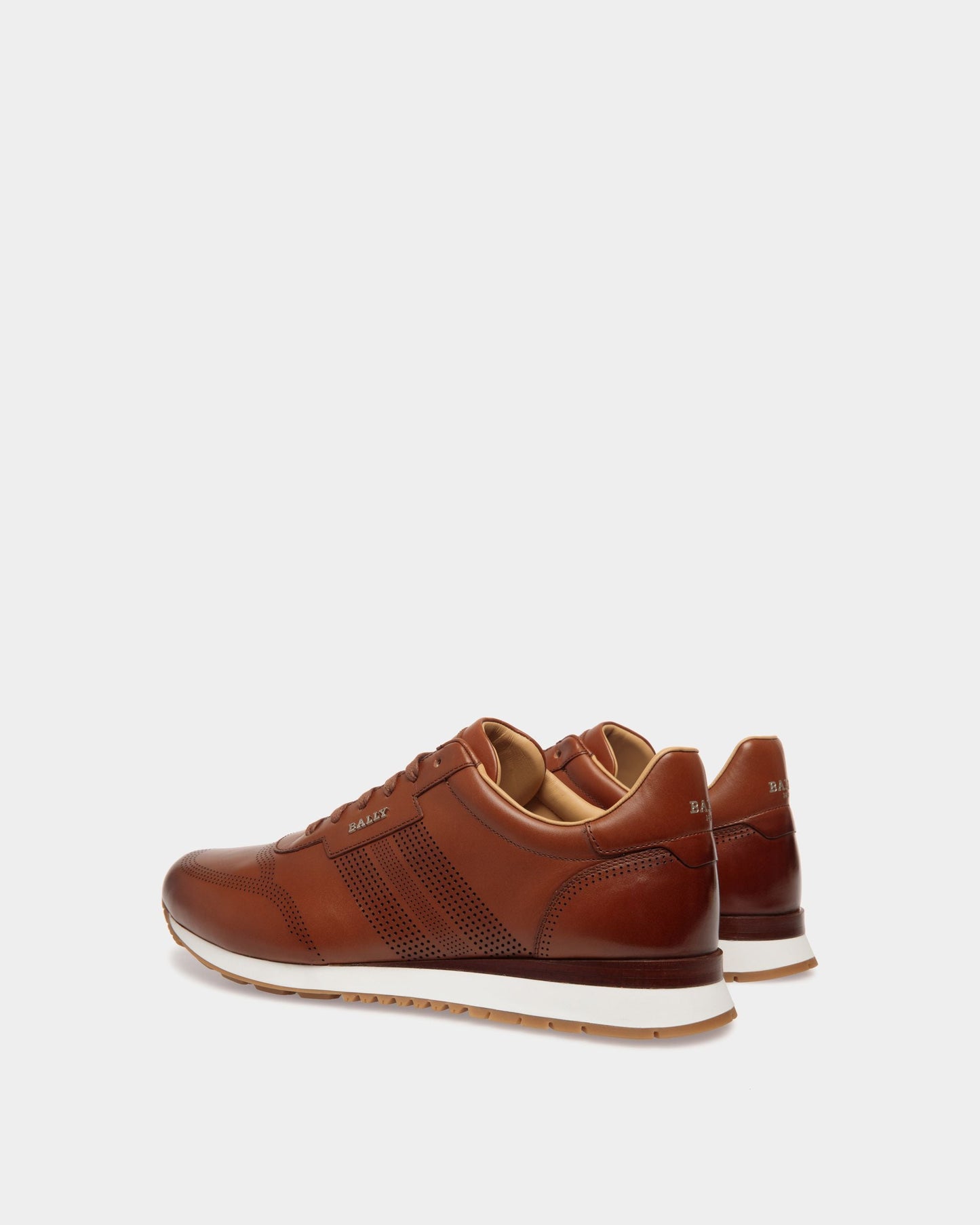 Asken Leather Sneakers In Brown