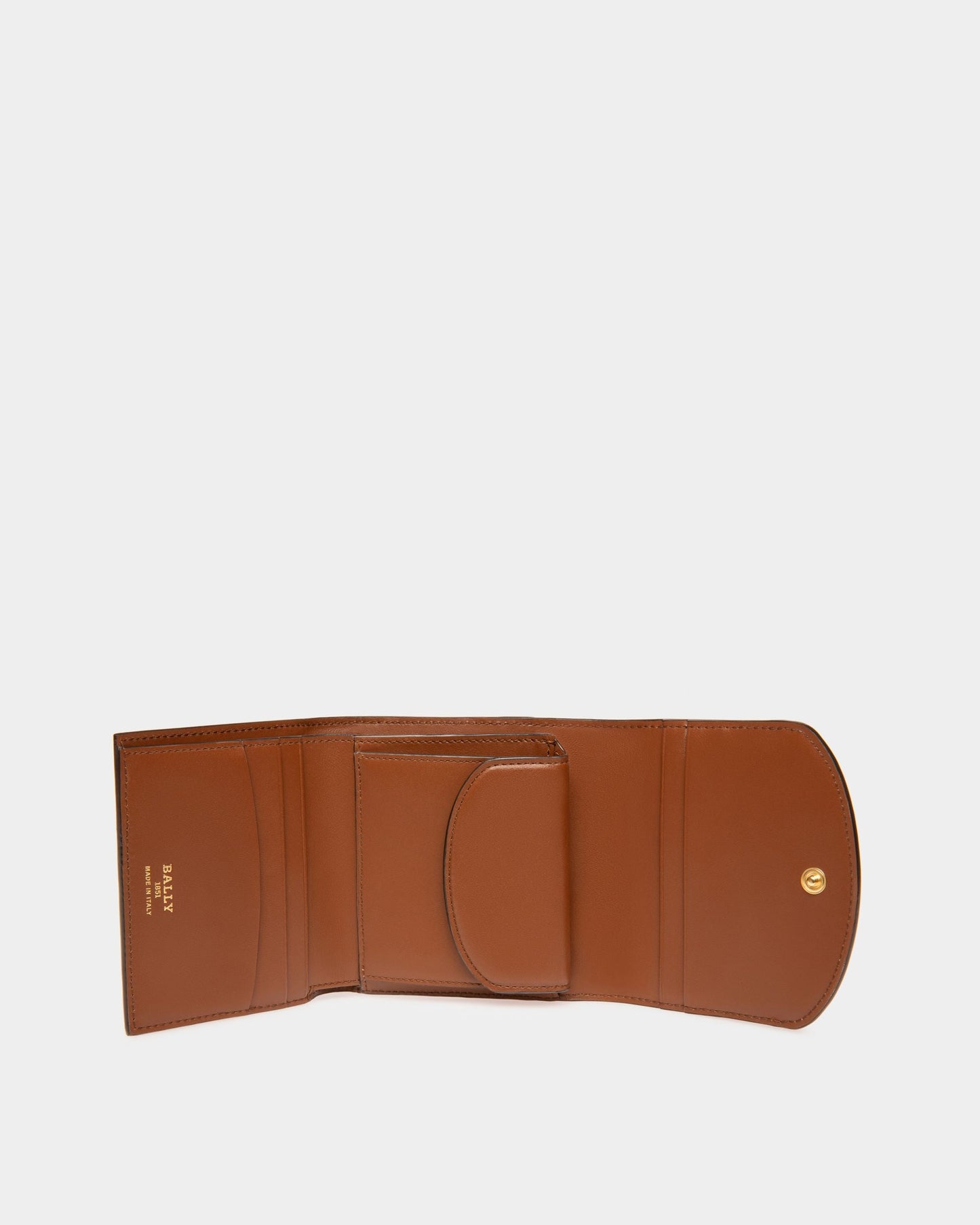 Blessy Tpu Wallet In Brown