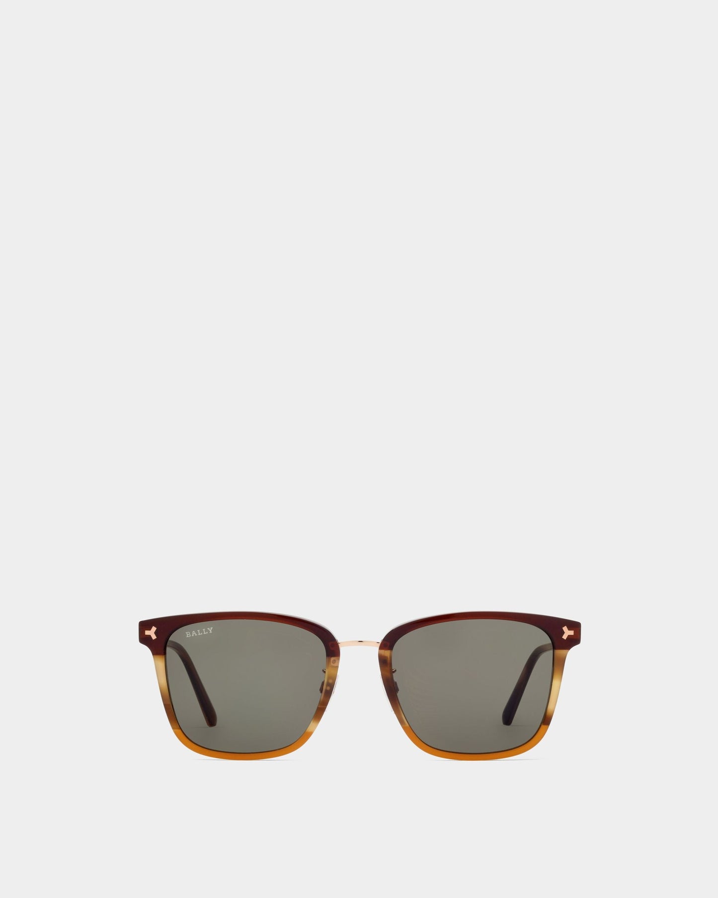 Sunglasses in Brown Plastic and Metal