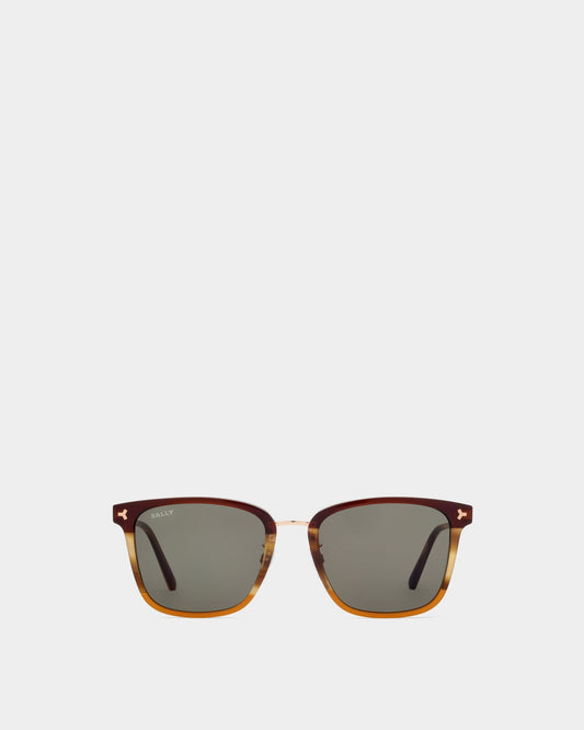 Sunglasses in Brown Plastic and Metal