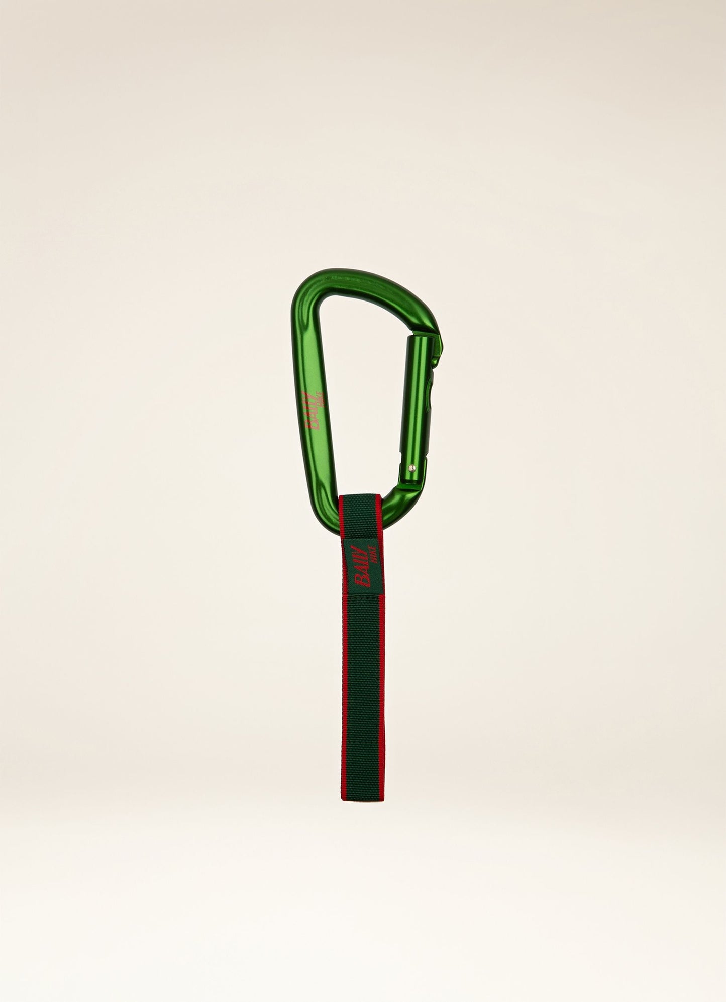 Carabiner Aluminum Accessory In Green