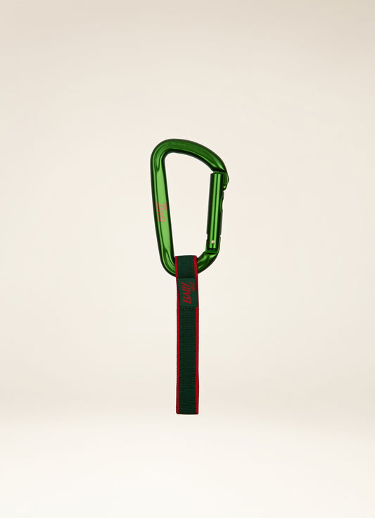 Carabiner Aluminum Accessory In Green
