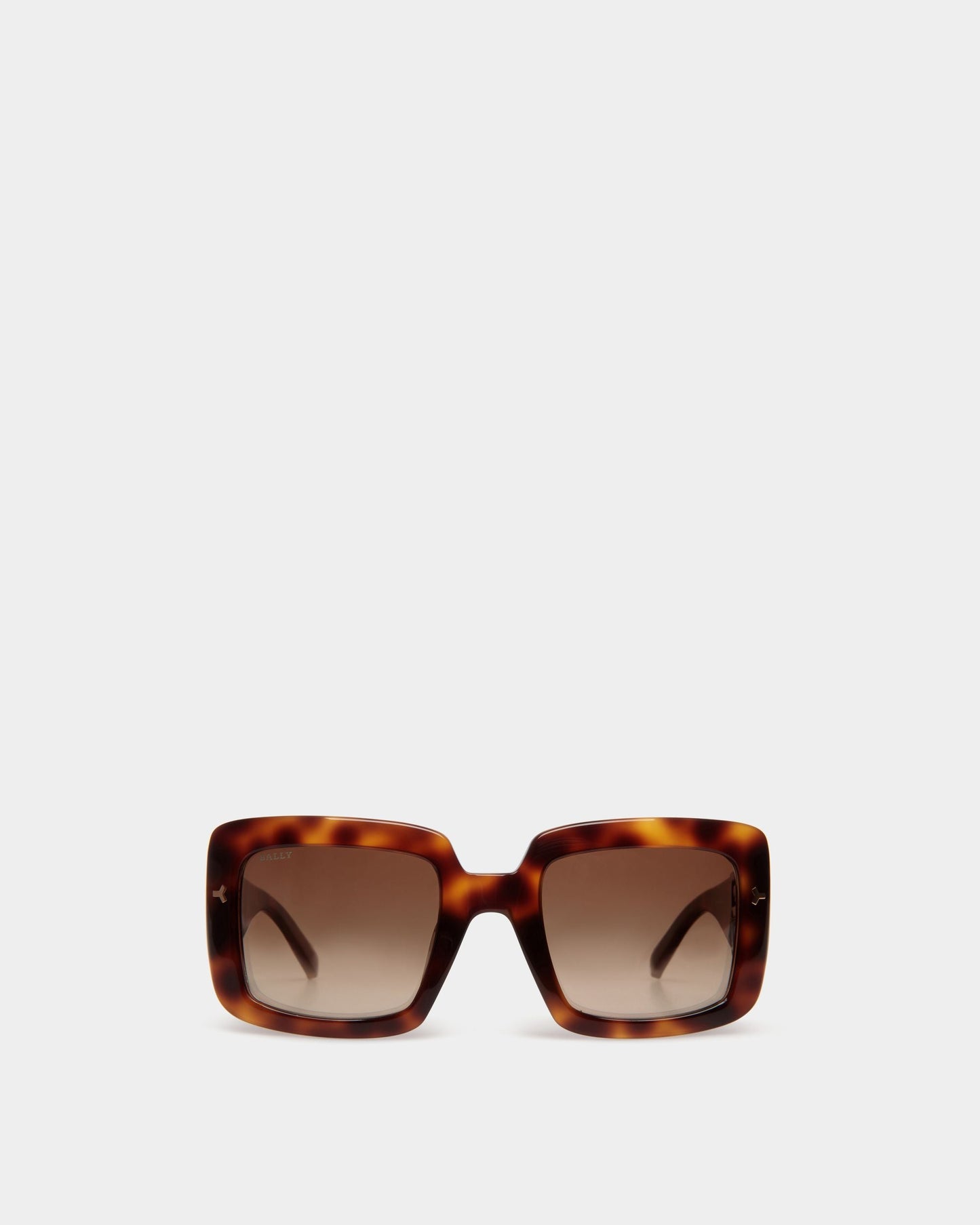 Filiana Sunglasses in Havana Brown & Gradient Brown Lenses Acetate Sunglasses In Havana Brown