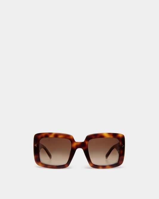 Filiana Sunglasses in Havana Brown & Gradient Brown Lenses Acetate Sunglasses In Havana Brown