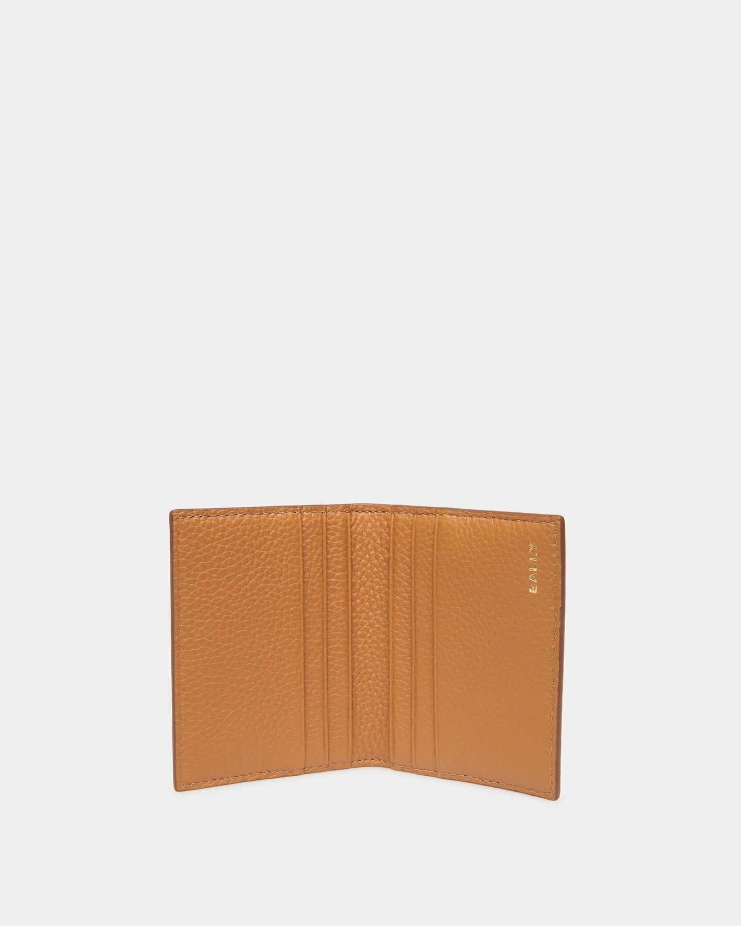 Pennant Card Holder |Men's Card Holder | Desert TPU | Bally | Still Life Open / Inside