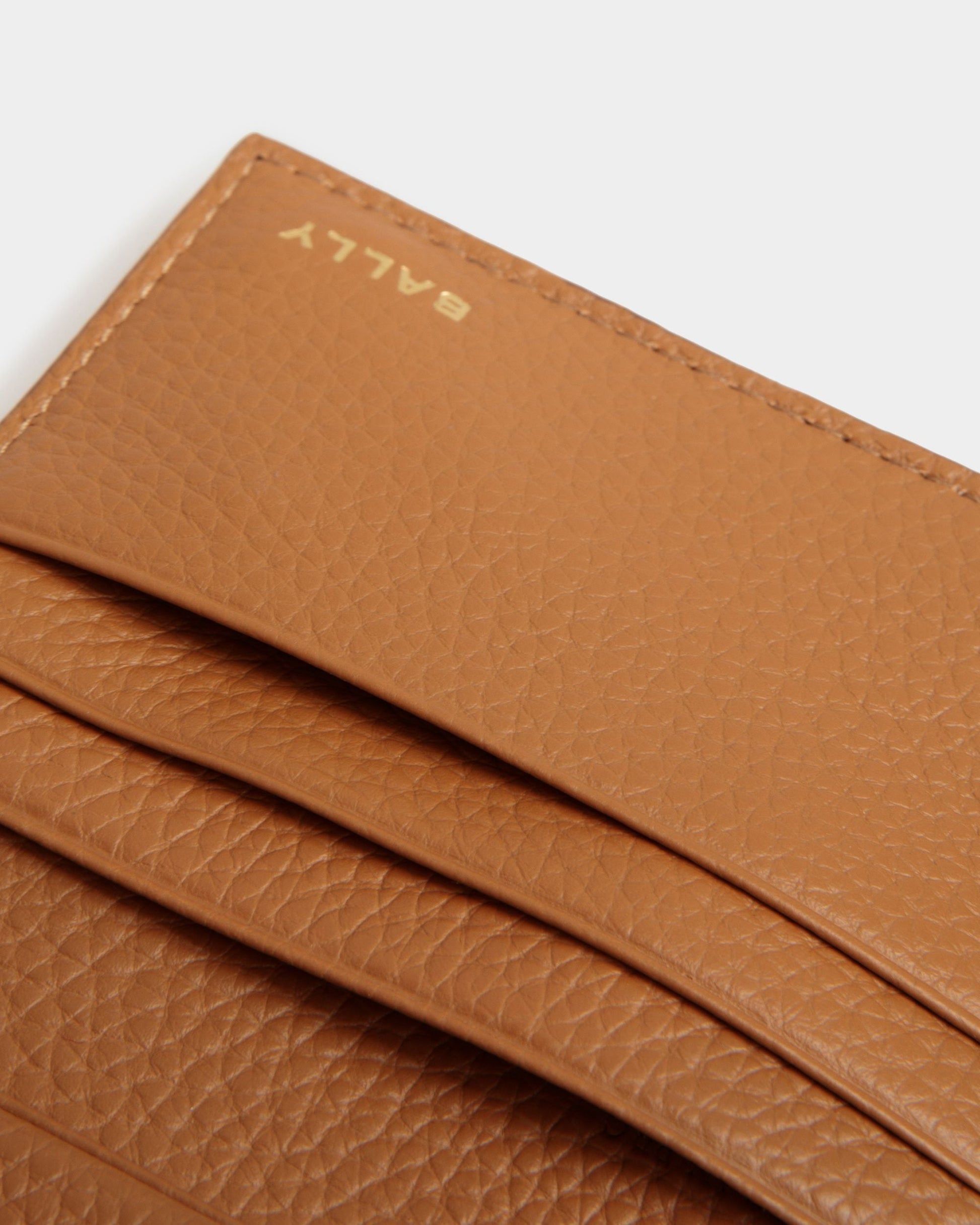 Pennant Card Holder |Men's Card Holder | Desert TPU | Bally | Still Life Detail